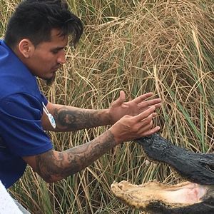 Meet your Posher, Ernie